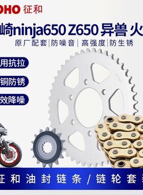适用川崎Z650 异兽 火神ninja忍者650摩托征和油封链条牙盘三件套