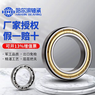 HRB哈尔滨轴承61913 61914 61915 61916 61917 61918 61919-2Z RZ