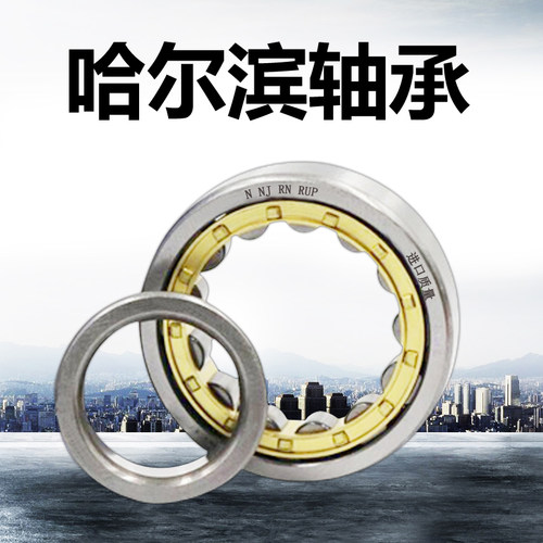 哈尔滨 轴承N NU NJ RN NUP NF 2310 2311 2312 2313 E M C3 4
