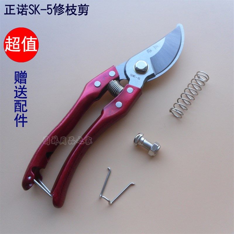 正诺修枝剪整枝剪树枝剪园艺剪刀果树剪花木修花送弹簧螺丝