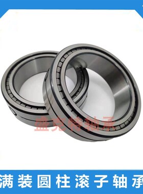 SL045004双列045005满装045006圆柱滚子轴承045007 045008 045009