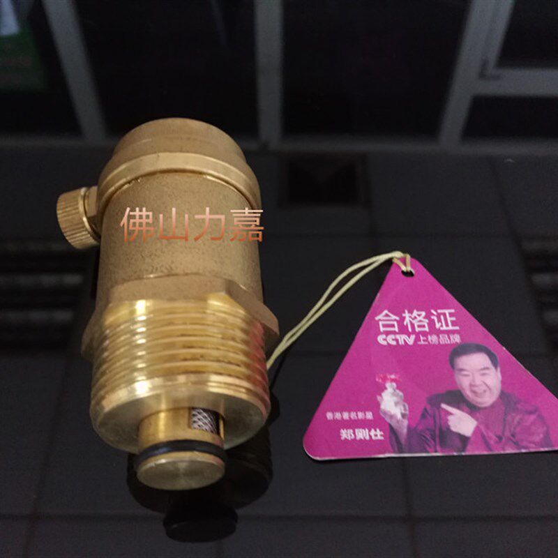 惊爆奥巴银人民保险中国排气阀自动黄铜银外丝其他阀门