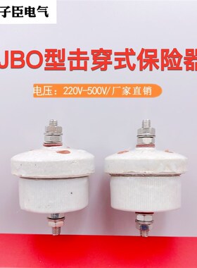 低压避雷器击穿式保险器JBO-220V 380V 500V陶瓷击穿保险直销现货