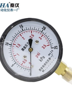 西安自动化仪表一厂YE60膜盒压力表天然气专用千帕压力表微压表