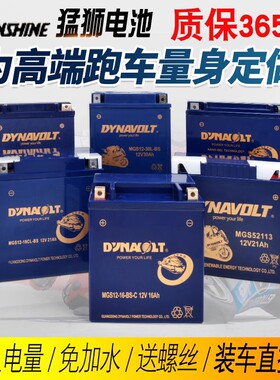 猛狮摩托车春风哈雷电瓶12V7A9A踏板125蓄电池免维护豪爵铃木锂电