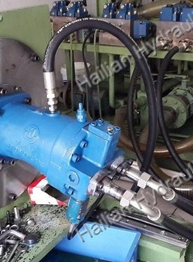 A6V225HD2/FS2液压马达Hyd motor vessel Japan marine 吊机马达