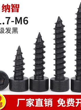 黑色8.8级内六角自攻螺丝HA高强度音箱喇叭木螺丝钉M2M3M4M5M6mm