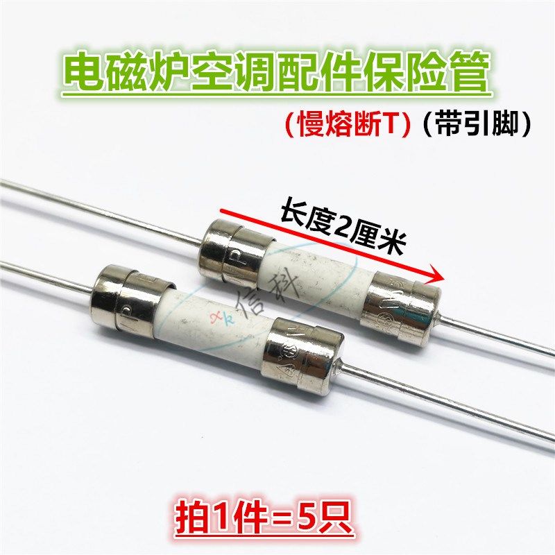 电源电磁炉液晶专用进口陶瓷带引脚保险丝管5*20 T10AH250V慢熔断