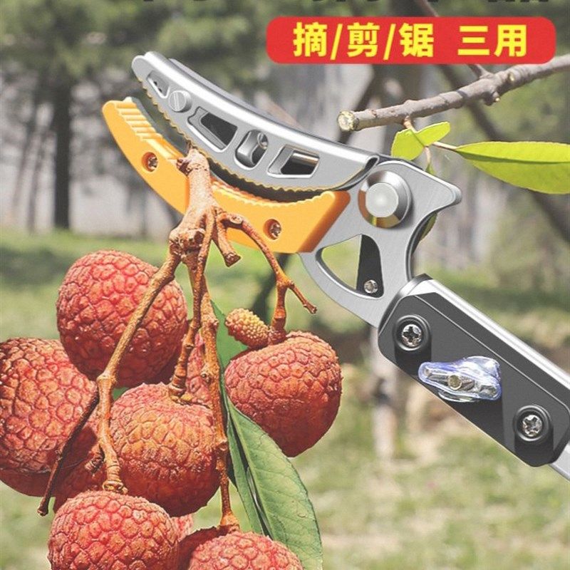 德国进口技术家用摘水果荔枝龙眼枇杷柿子加长高枝剪伸缩高空剪刀