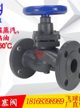 U41SM蒸汽柱塞阀门高温法兰式铸钢304不锈钢DN50 25 40 65 80 100