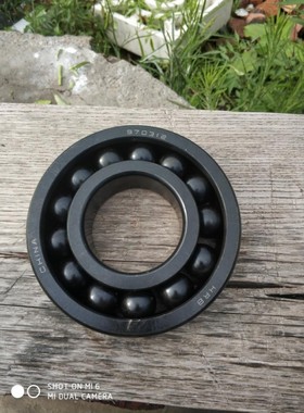 970220 耐高温轴承 天骄满珠轴承 窑炉设备专用轴承 6220