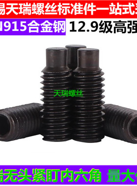 DIN915/GB79内六角凸端紧定螺钉圆柱端无头螺丝M20*20*25*30*70