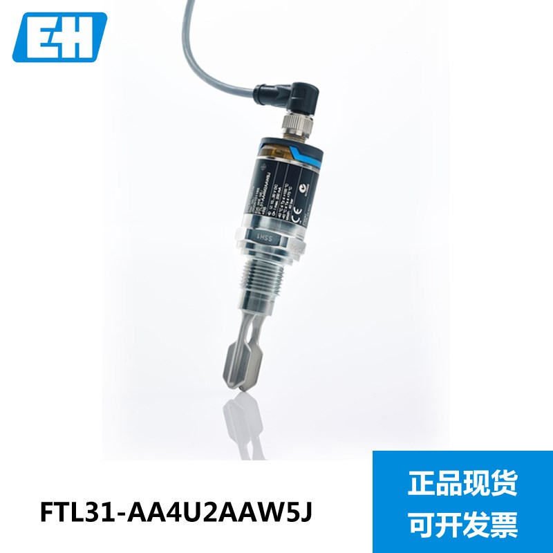 E+H 音叉液位计开关 FTL31-AA4U2AAW5J 恩德斯豪斯 FTL260 FTL20