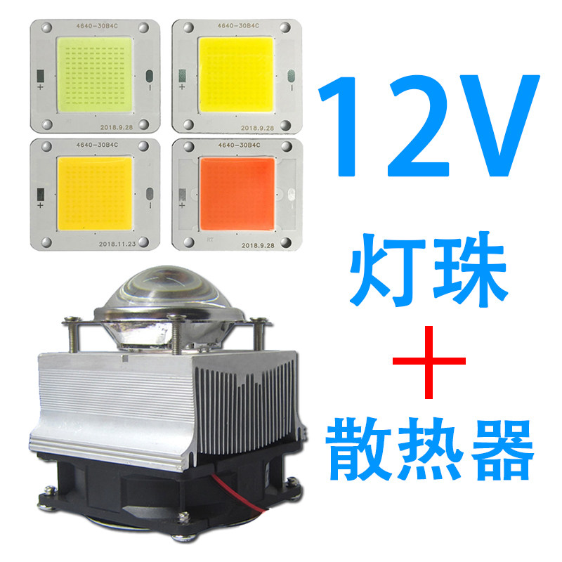 超亮12v免驱动诱鱼水草灯珠全光谱大功率户外LED灯50w灯芯散热器