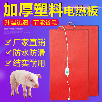 仔猪电热板猪用塑料保温板恒温加热板宠物狗猫兽用产床小猪发热板