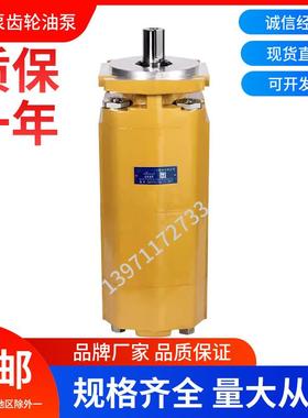 合肥长源液压齿轮油泵CBKP80/63/40-BFPL 液压泵吊机高压动力油泵