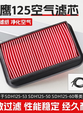 摩托车SDH125战鹰空气滤芯过滤器锐彪小战鹰CBF125-53空滤滤清器