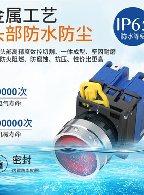 22mm自复位按钮开关12 24 220V金属头防水小圆形开关 20A短款带灯