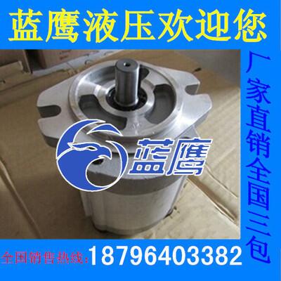 P208R P206R P214R P211R P216RP01DT P219RP P225R齿轮油泵P04DT