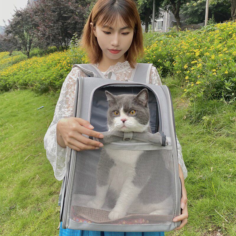 宠物背包外出便携带可折叠双肩猫咪书包小型狗狗外带冬天透气笼子