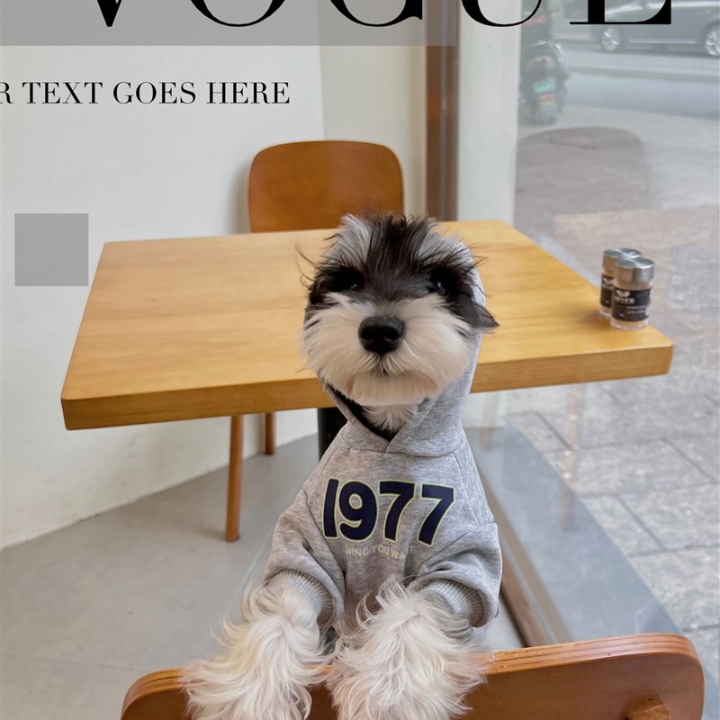 宠物猫咪狗狗秋冬衣服 纯色连帽1977加绒纯棉棉T 中小大型犬