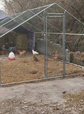 家养鸡棚鸡舍养殖大棚骨钢架宠物家养禽殖棚养鸭兔管贺欧RNpr用搭