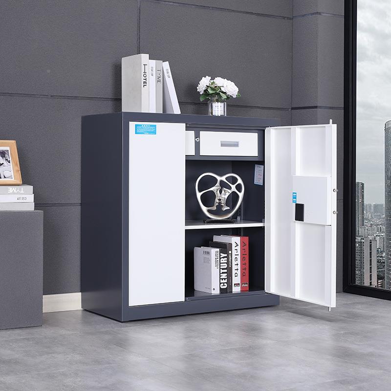 丰力密保险柜柜整保文件柜收纳保密柜储物柜员工柜老板柜档装案柜