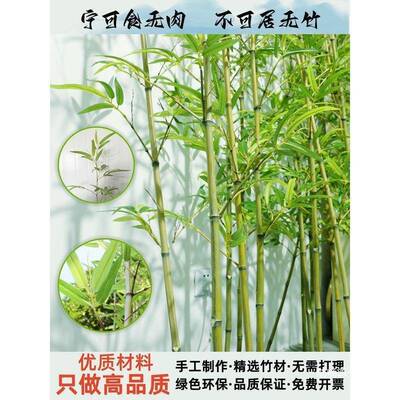 景观假竹子造酒值店室内新中竹子AL811524竹景子装饰绿客式厅细水