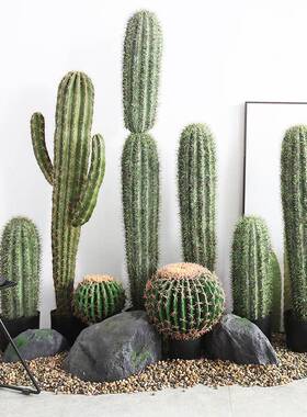 大型仿NDZ真仙人掌盆栽热沙漠场带装饰盆假仙人景柱量天尺景摆件