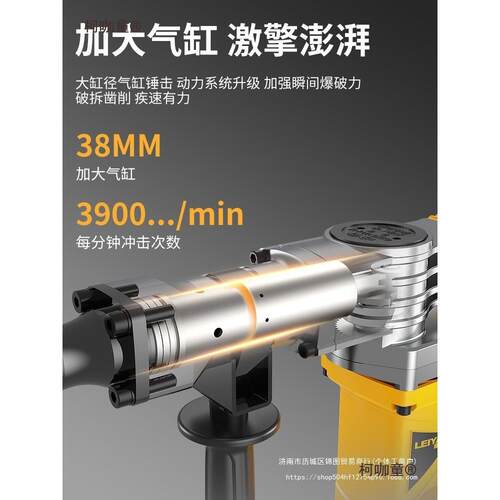 雷亚大功率专业冲击电镐开槽拆墙工业级电锤单用混凝土电稿麦太保