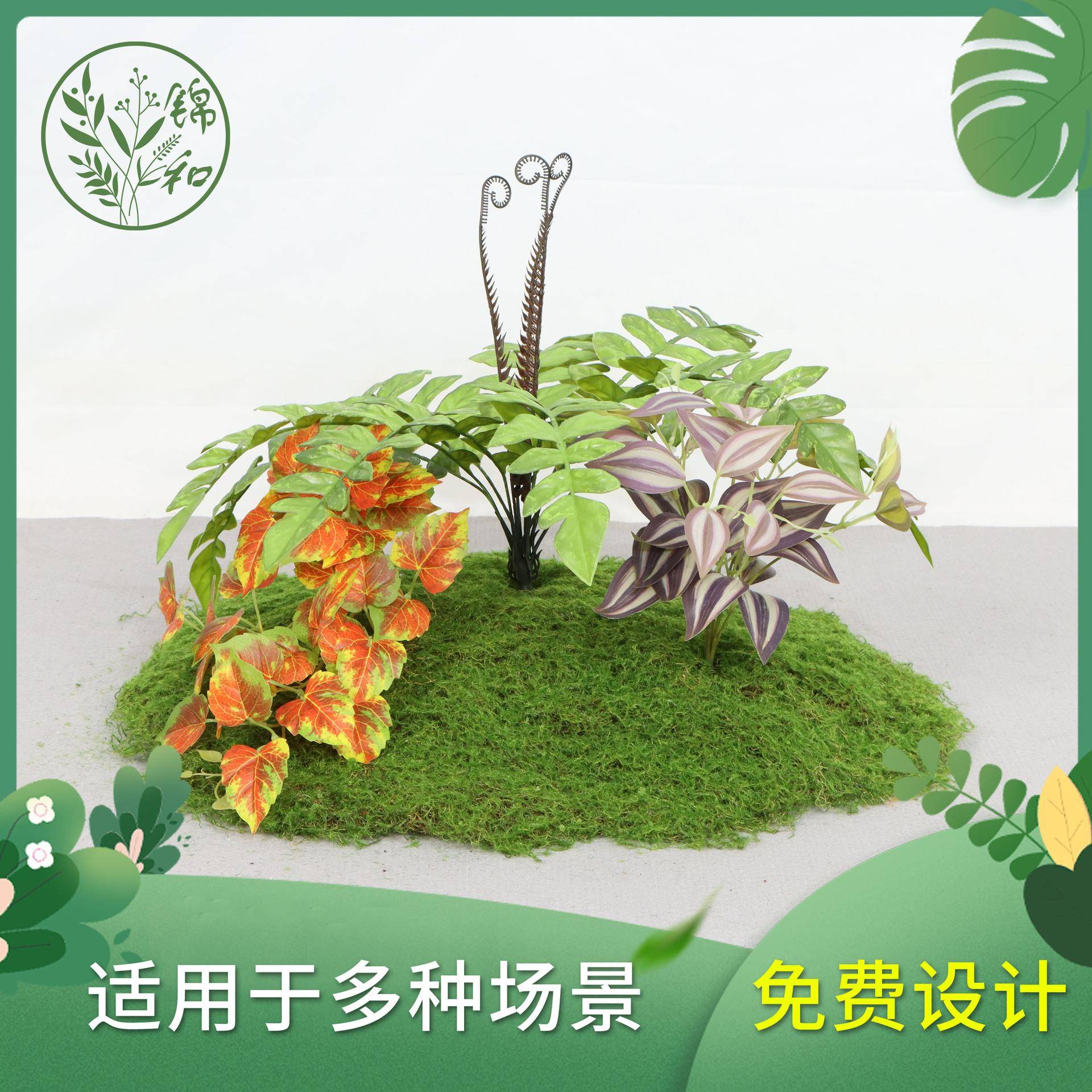 高054562端网椰红仿物真椭圆丝苔藓造景绿植景观植装饰微组合