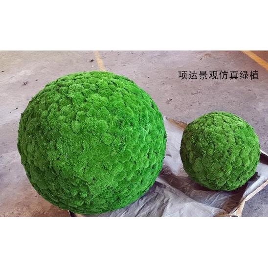 永生白123455发苔藓物球球植球绿植草青苔球软装吊顶橱景窗展览造