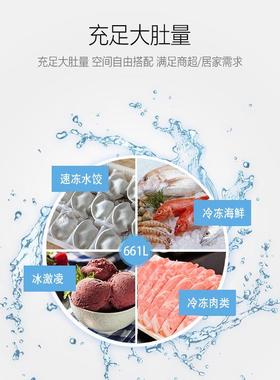 澳柯玛RCE商卧式-冷冻柜DS-66用1SD520