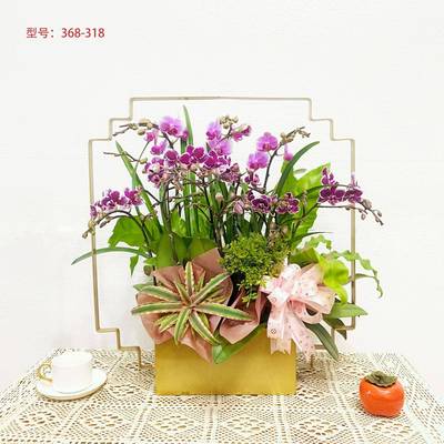 如意山新式蝴兰花架仿真植物花盆假简约轻奢年宵ASBK1912中花盆栽