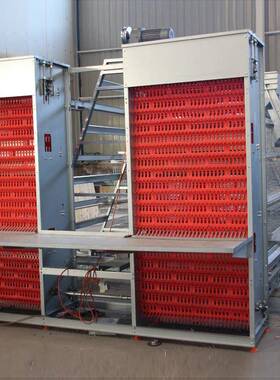 笼号养殖场自化设备动RYM鸡舍镀锌鸡笼子院子养殖立式三层大鸡鸡