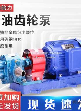 ZYB渣泵齿轮油泵相220V机油柴油泵30V耐高温VOR废8机油两自麦油太