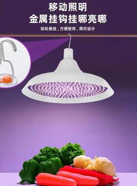 新国标充电灯式电生鲜充款灯泡夜市摆摊熟食灯冰OCZ鲜海鲜用隐形