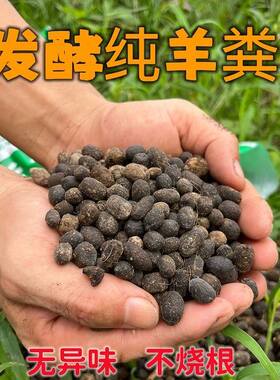 优质羊粪腐熟颗粒蛋农家肥盆栽地栽阳台养花种菜无异味有机肥绿植