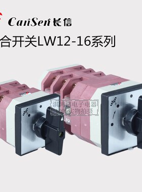 长信LW12-16 D49组合转换4.0723.3开关电源切换通断负载分合闸1