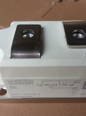 SKKT250/16E/14E/12E SKKT273/16E SKKT253 全新西门康可控硅模块