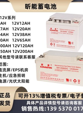 昕能蓄电池SN12V7A12A17A24A38A65A100A120A150AH直流屏UPSEPS