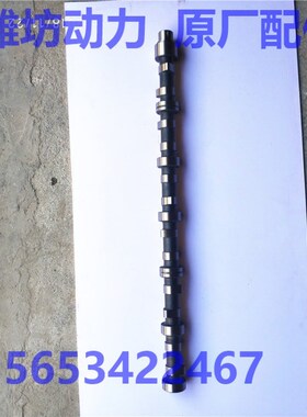 潍坊潍.柴华丰R6105ZD/R6105AZLD/R6105IZLD 6110 偏心轴凸轮轴