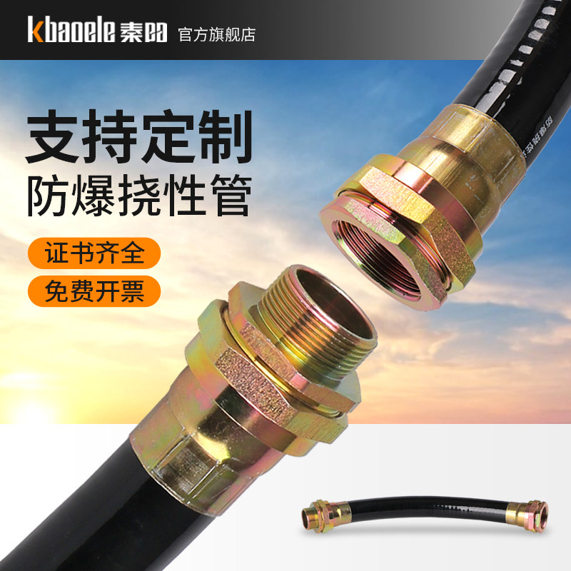 BNG防爆软管挠性连接管4/6分DN20绕线管电线绕性扰性接线管穿线管
