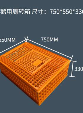 禽活WNZ转箱加厚塑料运输笼成鸡鸭鹅大号养殖鸽场周子可叠放筐新