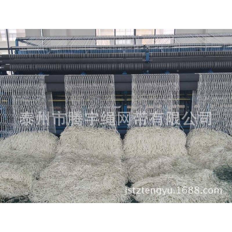 TCS全网3*6m高强涤纶安全网安安全防护白色防坠网4米*6安全网网