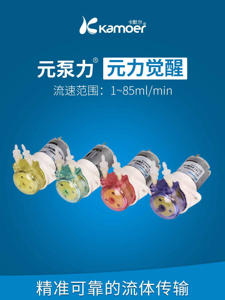 卡默尔蠕动泵泵头12v电机流体泵实验室泵水泵卡川尔KFS微型循环泵