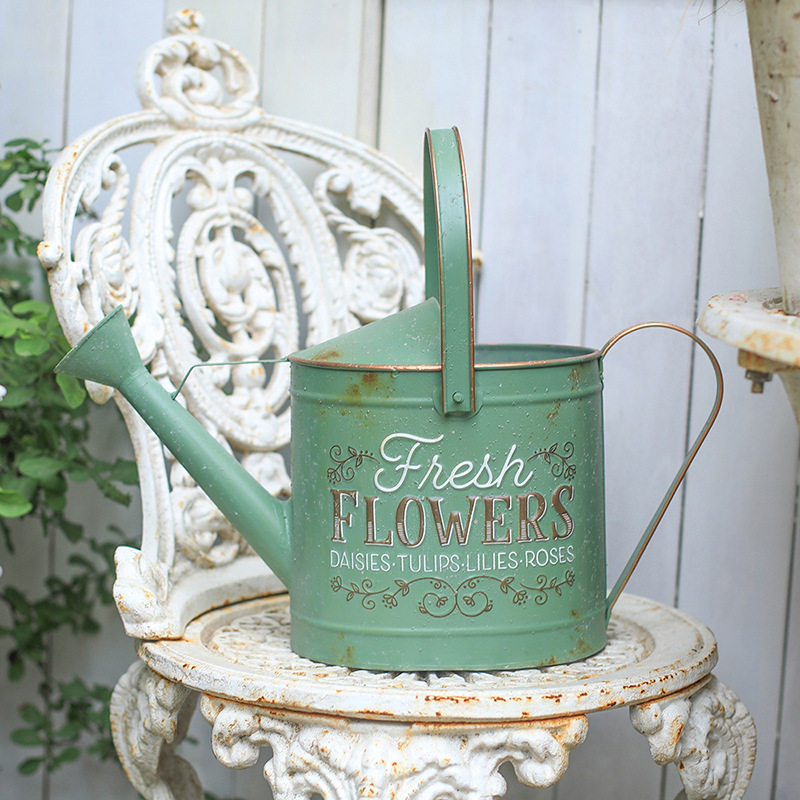 铁艺浇水壶长嘴蓬壶家用高颜值多肉洒浇水壶园艺工具大容量3L