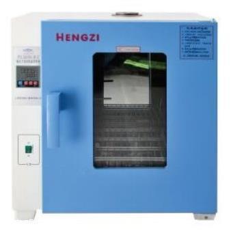 CTH箱I15CDV0B恒-温恒湿箱BOD箱干电热鼓风燥实验室设备