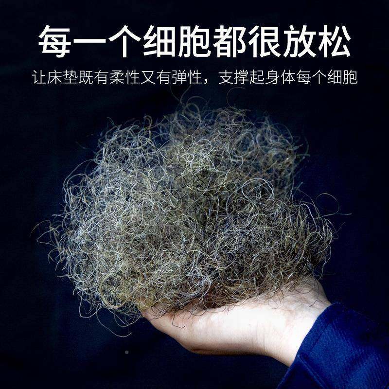 天然手工高端马毛无水顶垫尾双厚床垫无品牌/酒店家用单人环保厂