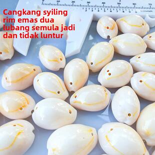 A+双孔黄金边螺天然海螺贝壳 金环宝螺 小钱币贝DIY手工饰品配件